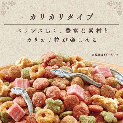 グラン・デリ カリカリ仕立て 7歳頃からの低脂肪 栄養バランスセレクト[54030452]