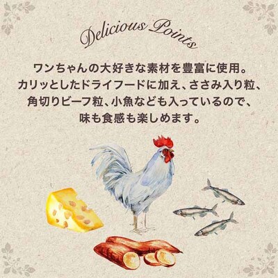 グラン・デリ カリカリ仕立て 13歳以上用 栄養バランスセレクト1.55k×4袋[54030454]