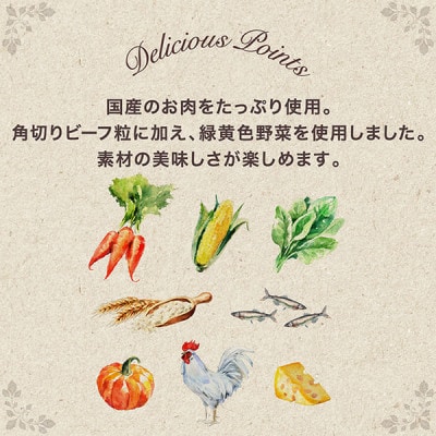 グラン・デリ ふっくら仕立て ビーフ鶏ささみ緑黄色野菜チーズ角切りビーフ粒入[54030455]