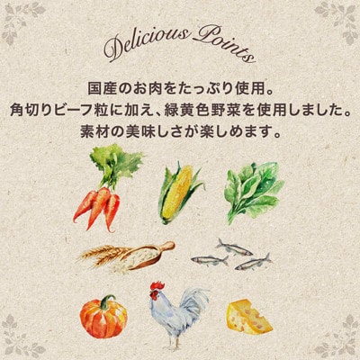 グラン・デリ ふっくら仕立て13歳以上用鶏ささみビーフ緑黄色野菜小魚チーズ角切り[54030460]