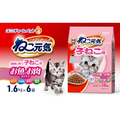 ねこ元気 健康に育つ子ねこ用 お魚とお肉ミックス 1.6kg×6袋[54030475]