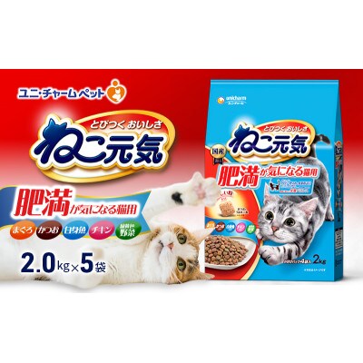 ねこ元気 肥満が気になる猫用 まぐろかつお白身魚チキン緑黄色野菜入り[54030479]