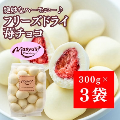 フリーズドライ苺チョコ 900g 300gx3袋 4月～10月発送[54030737]