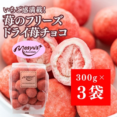 苺のフリーズドライ苺チョコ900g 300gx3袋 4月～10月発送 [54030739]