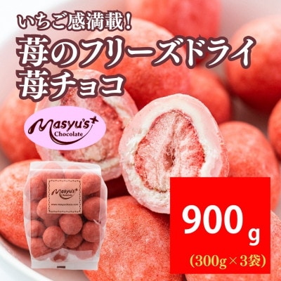 苺のフリーズドライ苺チョコ900g 300gx3袋 11月～3月発送[54030740]