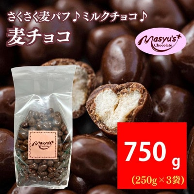 麦チョコ 750g 250g×3袋 4月～10月発送 [54030755]