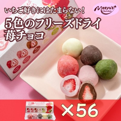 5色の苺チョコ 5粒×56箱 4月～10月発送 [54030769]