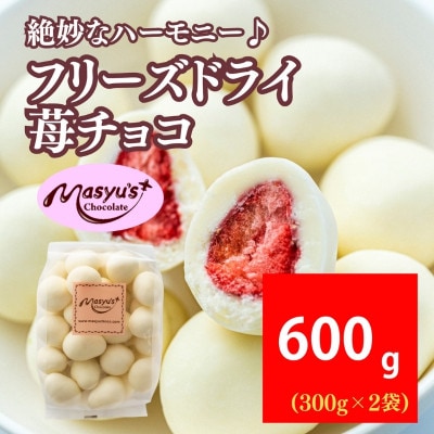 �t���[�Y�h���C䕃`���R 600g 300g×2�� 11���`3������[54031069]