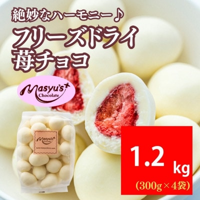 �t���[�Y�h���C䕃`���R 1200g 300g×4�� 4���`10������[54031070]