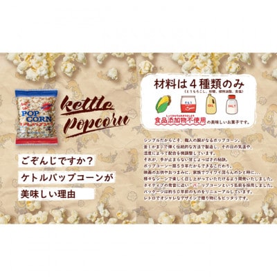 デイリー ケトルパップコーン シュガー&ソルト味 60g×24袋 [54030431]