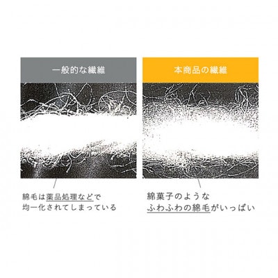 水だけで食器を洗う　洗剤不要　食器用コットンスポンジ [54030539]