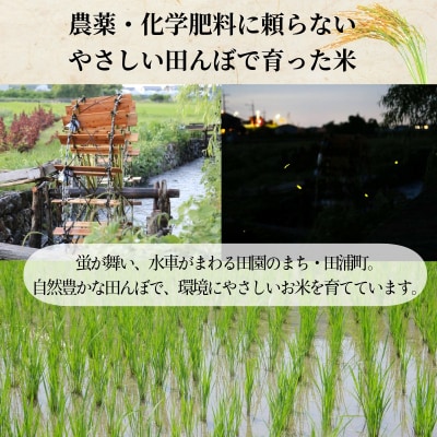 【令和7年産新米】米 コシヒカリ 5kg 天皇献上米 (栽培期間中)化学肥料・農薬不使用米 白米