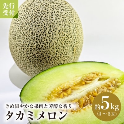 【令和8年産】タカミメロン 約5kg(4玉～5玉)山形県河北町産【JAさがえ西村山】