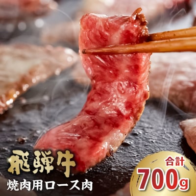 飛騨牛　焼肉用(ロース700g)　