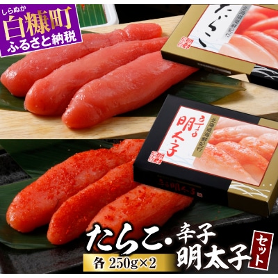 たらこ・辛子明太子セット【各250g×2】