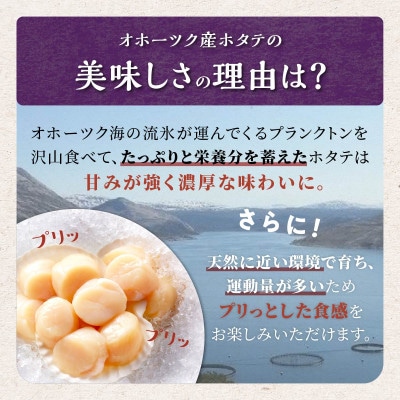 オホーツク産お刺身用ホタテ【合計750g(250g×3)】