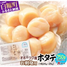 オホーツク産 刺身用ホタテ玉冷大 【3S】 750g(250g×3) 大サイズ | ふるさと納税のお礼品