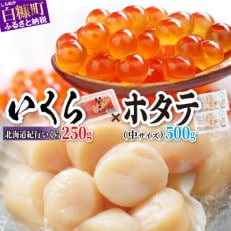 「北海道海鮮紀行いくら(醤油味)【250g】」&times;「ホタテ【500g】」の海鮮丼セット