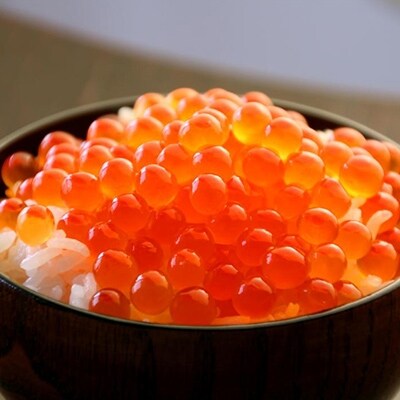 2020年2月発送開始『定期便』いくら醤油漬(鮭卵)【500g(250g×2)】全4回