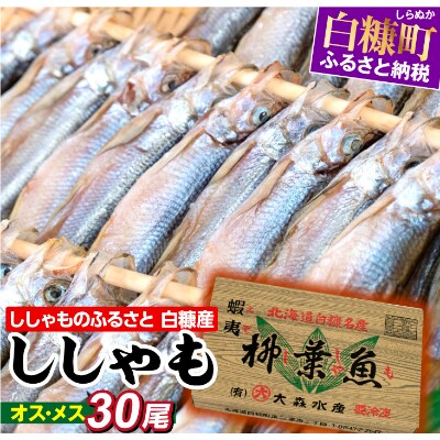 ししゃものふるさと　しらぬか産ししゃも【オスメス 30尾】