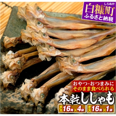 本乾ししゃも【メス16尾×4袋・オス16尾×1袋】