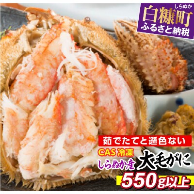 しらぬか産 CAS冷凍大サイズ毛がに【550g以上】