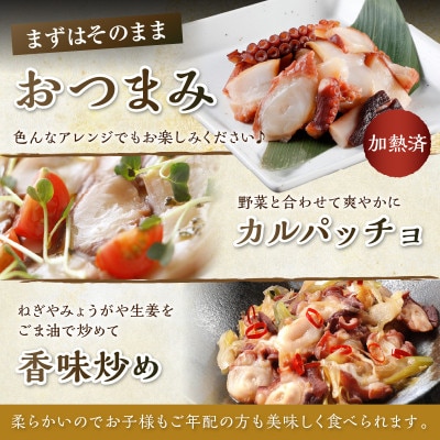 柳だこの燻製(塩味)セット【足180g×2袋・スライス150g】