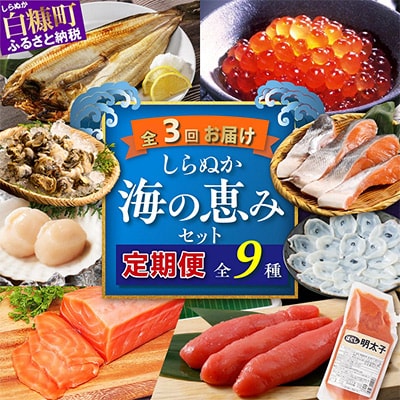 【発送月固定定期便】<2024年11月以降順次発送開始>しらぬか海の恵みセット 全3回