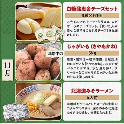 【発送月固定定期便】<2024年11月以降順次発送開始>しらぬか山の恵みセット 全3回
