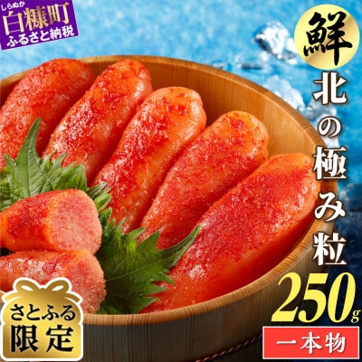 【さとふる限定】 辛子明太子 (250g×1)