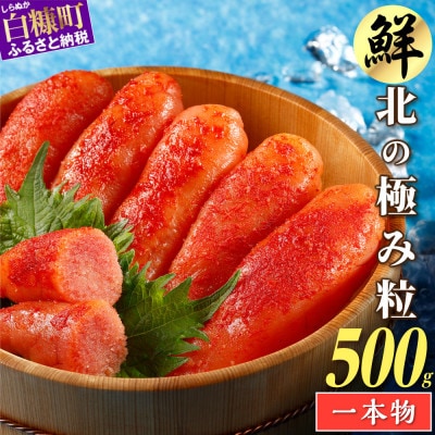 辛子明太子【250g×2】