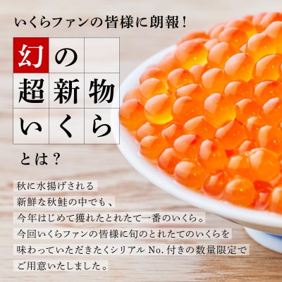 超新物いくら(シラリカいくら醤油漬け)500g(250g×2)