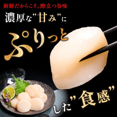 【毎月定期便】オホーツク産 刺身用ホタテ玉冷大【3S】750g(250g×3) 大サイズ全5回