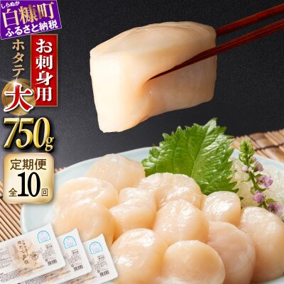 【毎月定期便】オホーツク産 刺身用ホタテ玉冷大【3S】750g(250g×3) 大サイズ全10回
