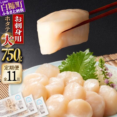 【毎月定期便】オホーツク産 刺身用ホタテ玉冷大【3S】750g(250g×3) 大サイズ全11回