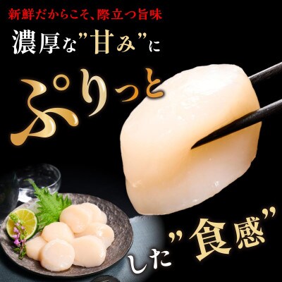 【毎月定期便】オホーツク産 刺身用ホタテ玉冷大【3S】750g(250g×3) 大サイズ全11回
