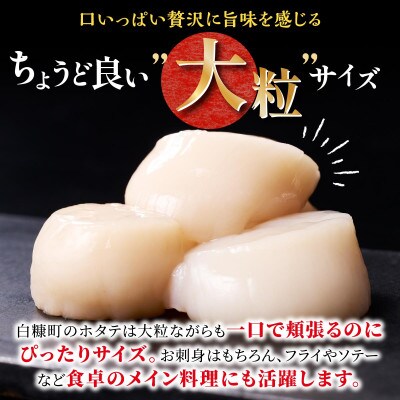 【毎月定期便】オホーツク産 刺身用ホタテ玉冷大【3S】750g(250g×3) 大サイズ全11回