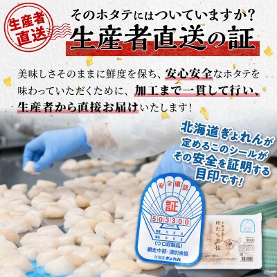 【毎月定期便】オホーツク産 刺身用ホタテ玉冷大 【3S】 1kg(250g×4) 大サイズ全8回