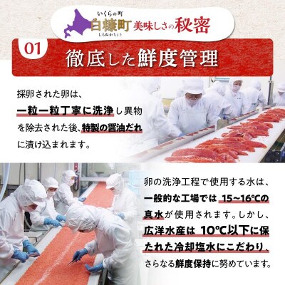 【2ヵ月毎定期便】鮭いくら醤油漬け 400g(200g×2)全6回