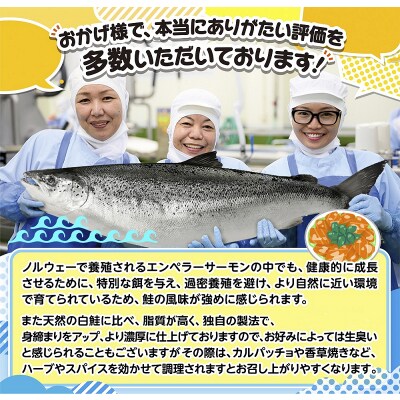 エンペラーサーモン 1kg