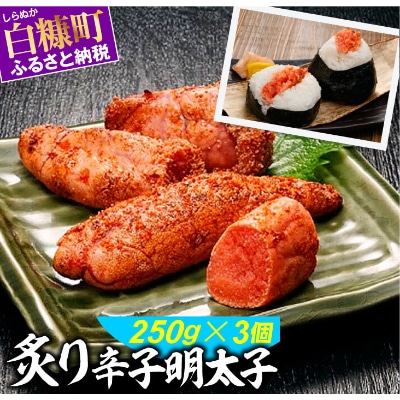 炙り辛子明太子【250g×3】