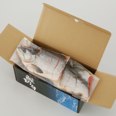 紅鮭 新巻姿切身【4分割 1.4kg】