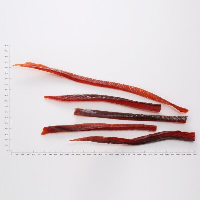 鮭とば【500g(100g×5入)】