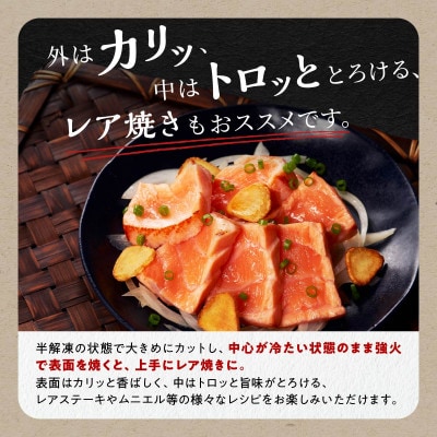 【訳あり】エンペラーサーモン【900g】