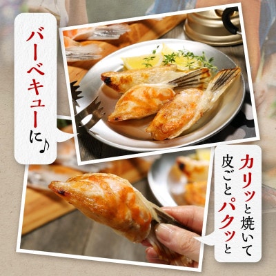 エンペラーサーモン 腹ビレ肉【1kg】