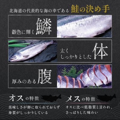 大手百貨店も扱う「新巻鮭姿切身」メス 約2.0kg(4分割) 鮭切り身