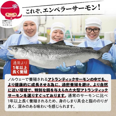 【訳あり】エンペラーサーモンプレーンタイプ【900g】