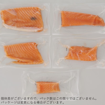 【TOWA SALMON】訳あり アトランティックサーモン 800g