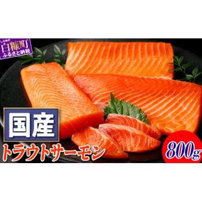 国産トラウトサーモン【800g】