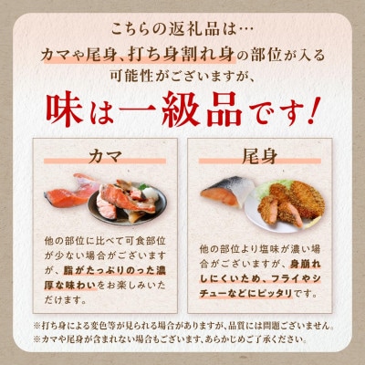アトランティックサーモン 計1kg(8～10切程度)